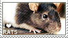 i heart rats with a rat in the background